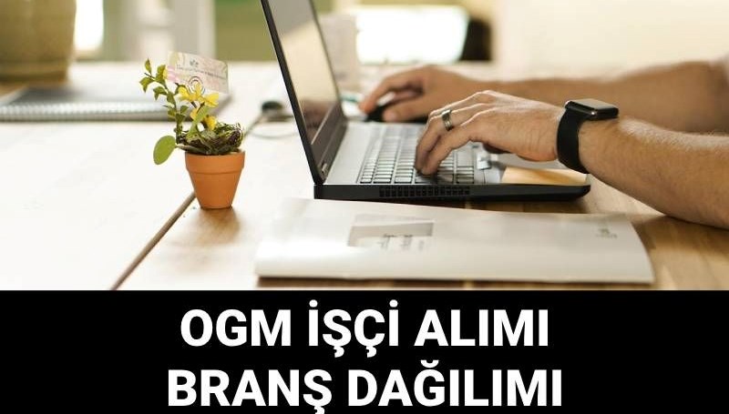 Orman Genel Müdürlüğü’nden Büyük Fırsat: 4500 Geçici İşçi Alımı! Başvuru Süreci ve Gereken Kriterler Neler?