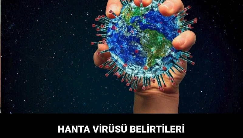 Hanta Virüsü: Belirtileri ve Bulaşma Yöntemleri Hakkında Bilmeniz Gerekenler