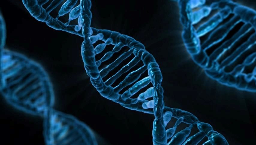 DNA Verileri Açıktan Satışa Sunuldu: İhale Süreci Başladı!