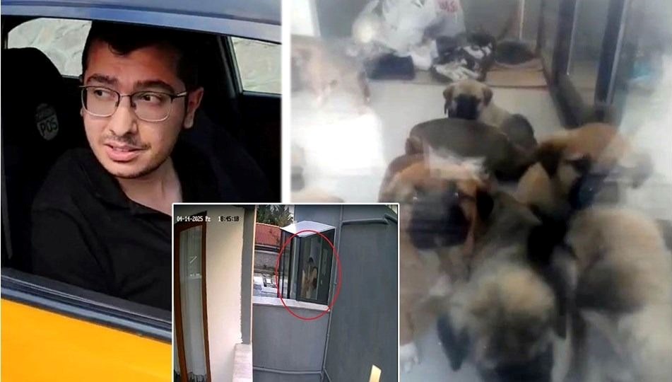 Yavru Köpeklere Yüreksizce Şiddet Uygulayan Kişi Yakalandı