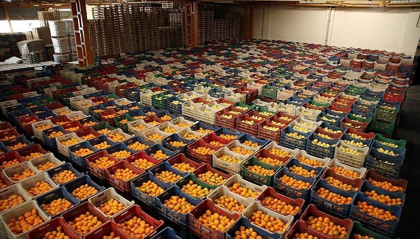 Gıda Sektöründen Başarı Hikayesi: En Büyük 500 Şirketin 111'i Bu Alanda!
