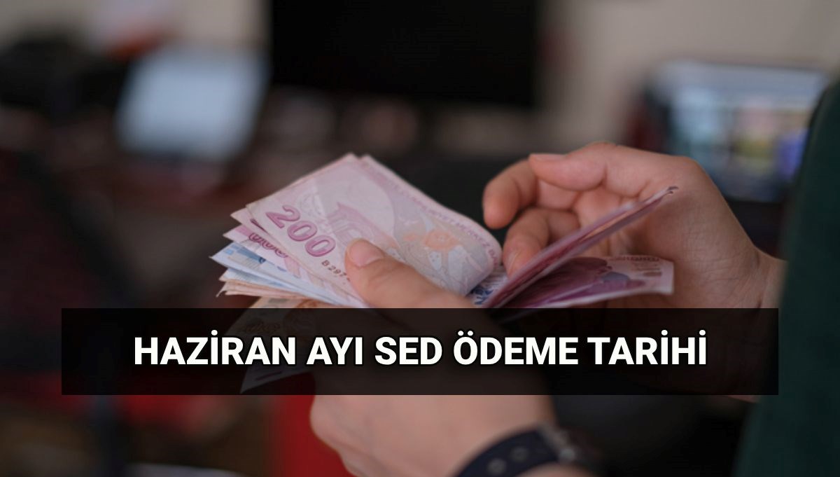 2025 Haziran Sosyal ve Ekonomik Destek (SED) Ödeme Tarihleri: Miktar ve Hesaplamalar Neler?
