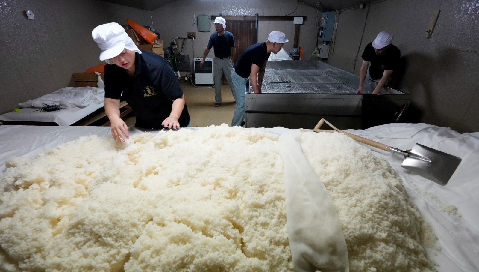 Japonya’da Pirinç Tedarikinde Şok Etkisi: 200 Bin Tonluk Stok İhtiyacı Eğitim!