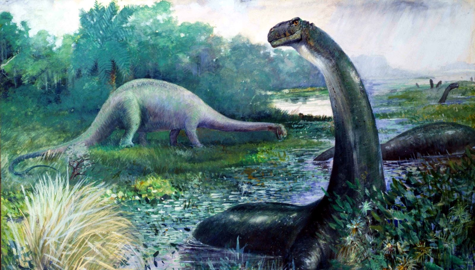 Dinozor Fosilinde Kanser Hücresi Keşfi: İnsan Tümörü ile Benzetmeler Yapıldı!