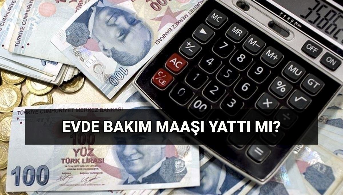 Evde Bakım Maaşı Sorgulama Rehberi: Haziran Aylığı Nereye Yatıyor?