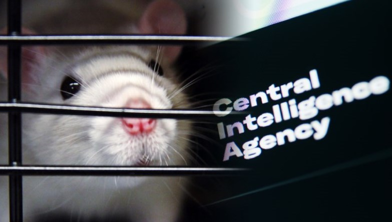 Sıra Dışı Bir Proje: CIA’nin Gizli