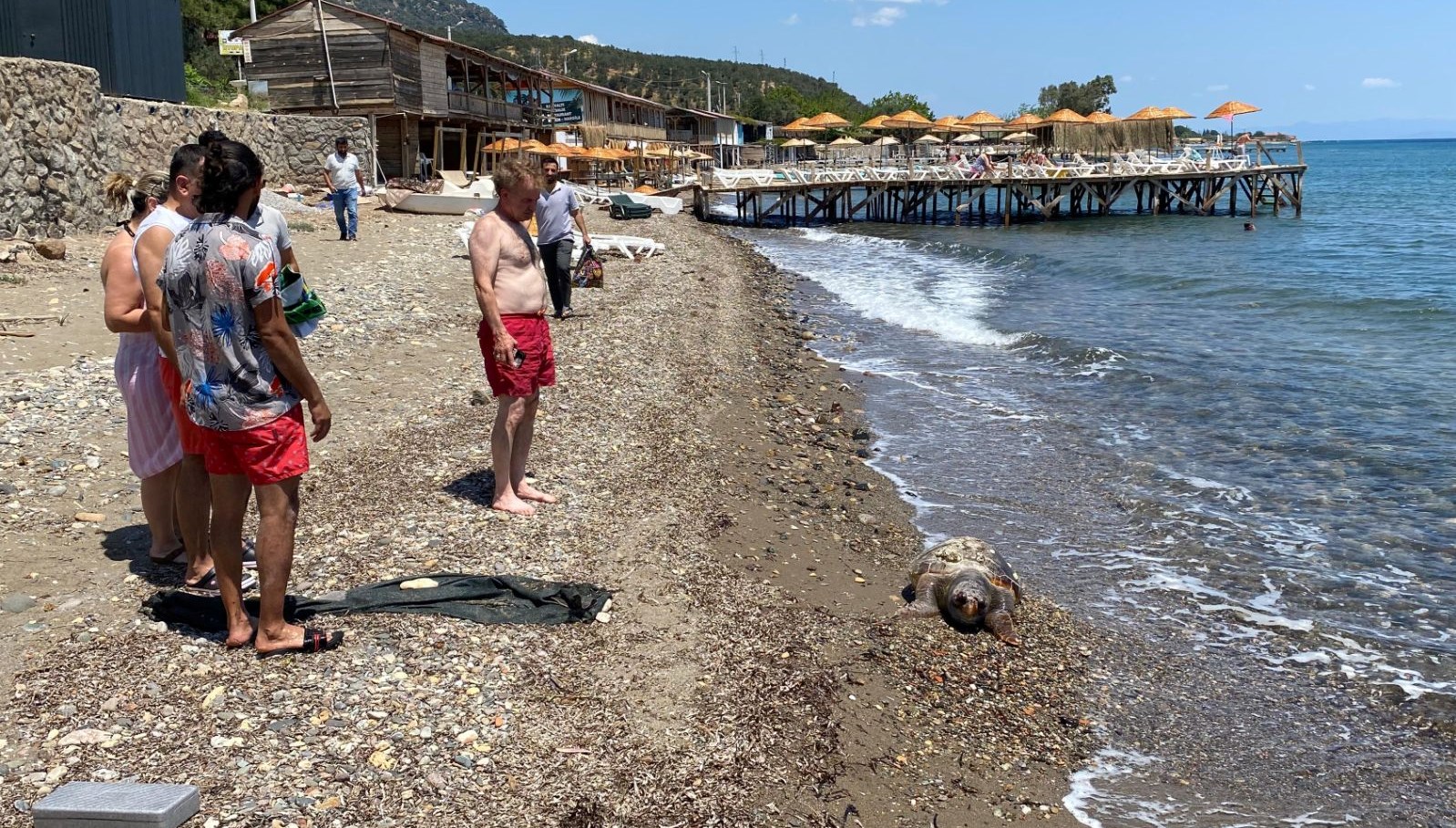 Assos'nda Bir Caretta Caretta'nın Trajedi Dolu Anı: Sahile Vuruverdi