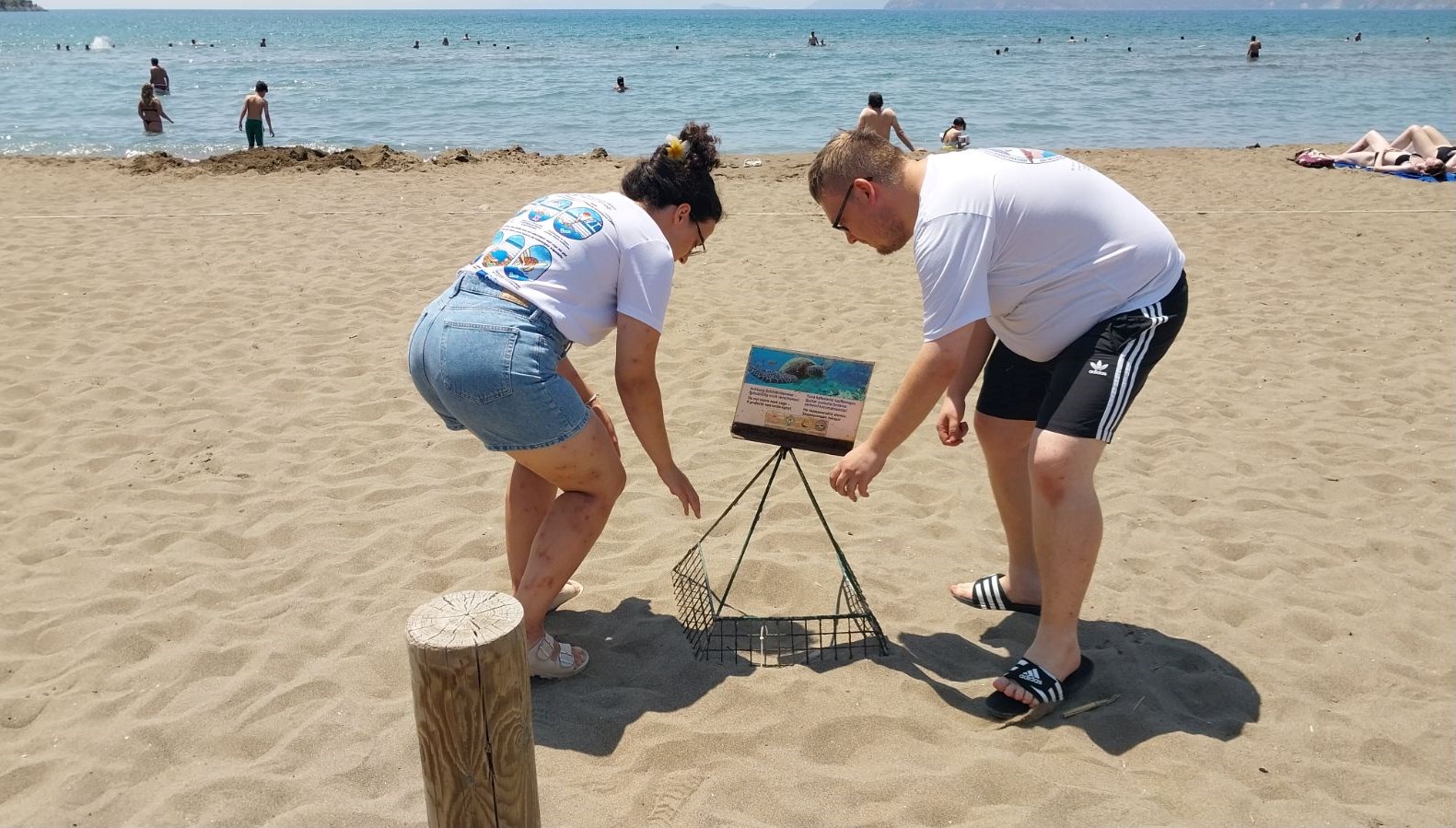 İztuzu Plajı'nda Caretta Caretta Yuvalarında Sevindirici Artış!