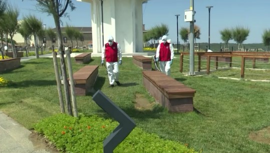 Kene Tehdidi Artıyor: Kamusal Alanlarda İlaçlama Önlemleri Alınıyor