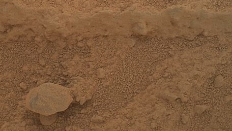 NASA'nın Gözüyle: Kızıl Gezegen'deki Sırlarla Dolu Mantar Keşfi