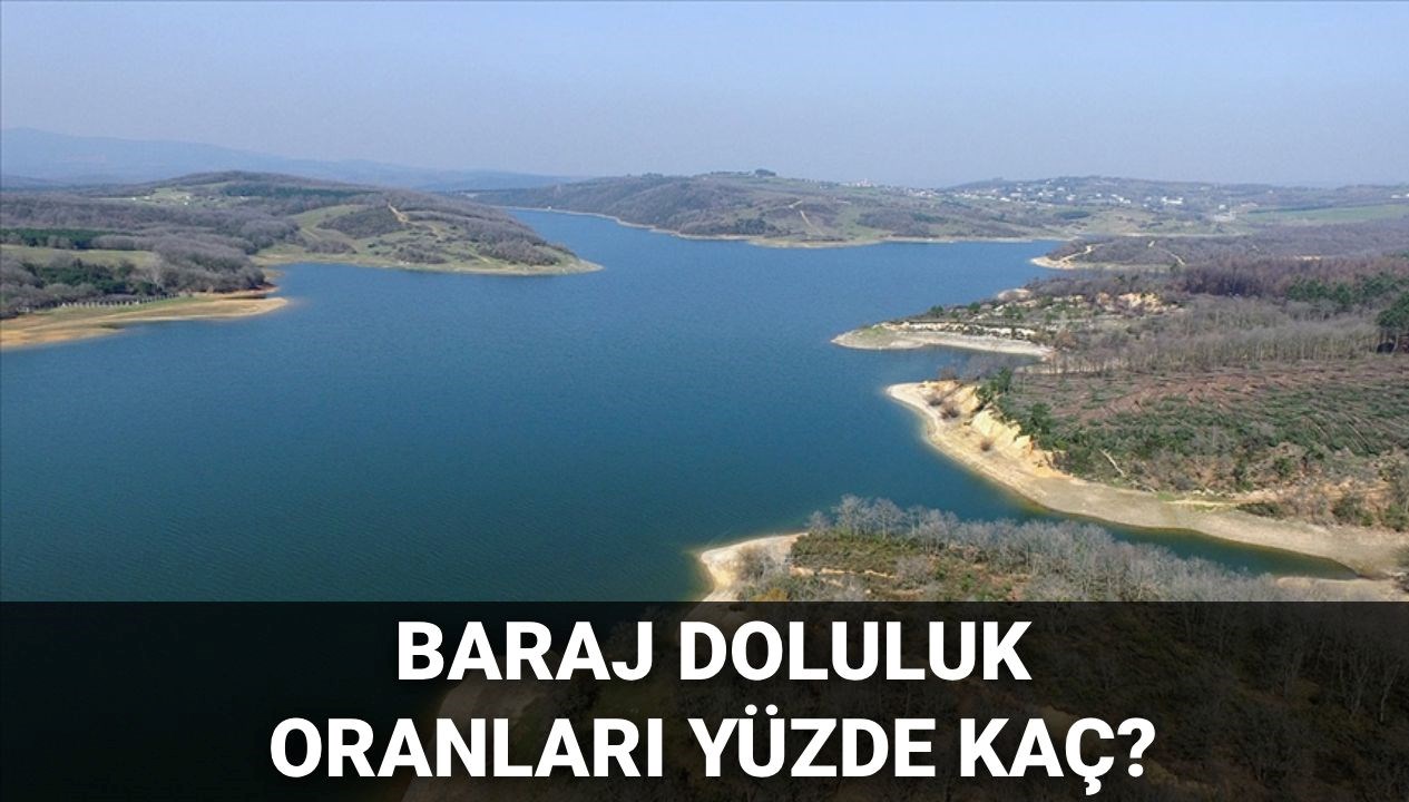 2025'te İstanbul Barajları: 22 Haziran İSKİ Verilerine Göre Doluluk Oranı Ne Kadar?
