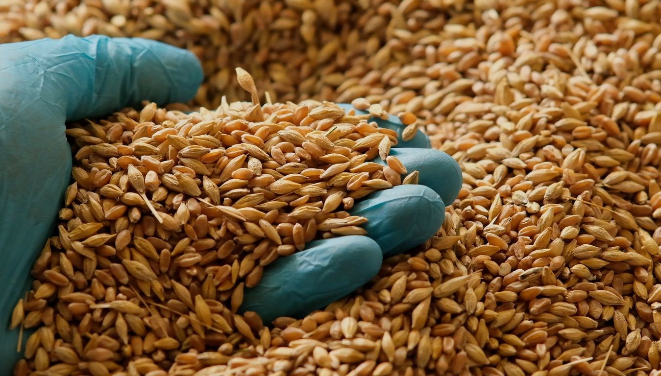 Magnezyum ve D Vitaminiyle Hafızanızı Güçlendirin: Beslenmenin Sırrı