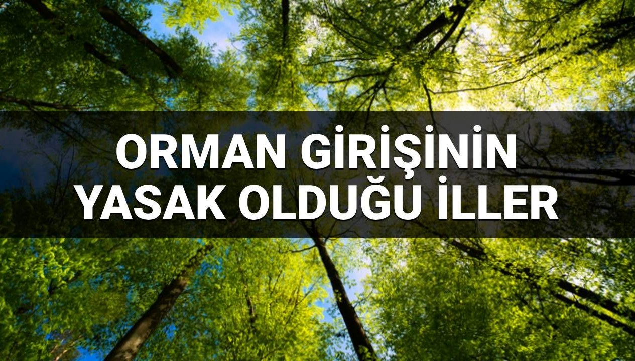 Ormana Girişin Yasak Olduğu 2025 İlleri: Hangi Bölgelerde Dikkat Edilmeli?
