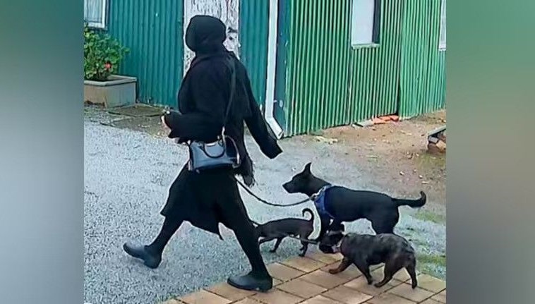 Reality Show dünyasında şok eden cinayet: Yıldız, sevgilisinin hayatına son verdi!