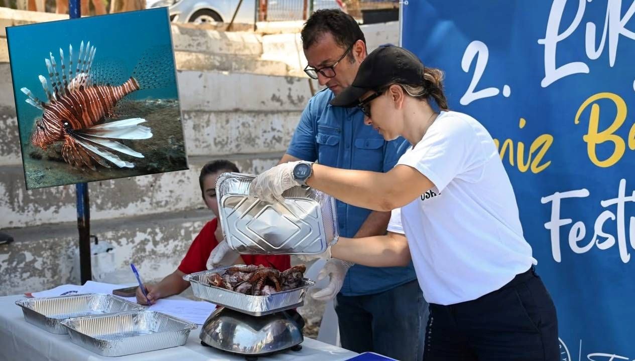 Antalya'da Aslan Balığı Avında Rekabet Başlıyor!