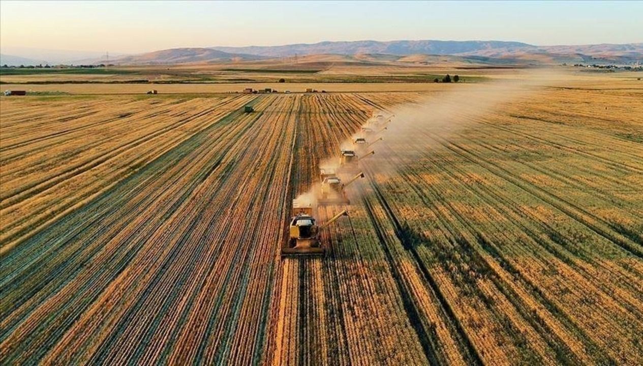 2025 Tarımsal Destekleme Ödemeleri: Temmuz'daki Çiftçi Yardımları Hesaplara Ne Zaman Gelecek?
