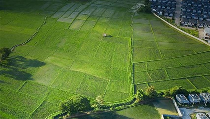 İstanbul da Dâhil 895 Milyon Liralık Dev Arsa İhalesi Gerçekleşti!