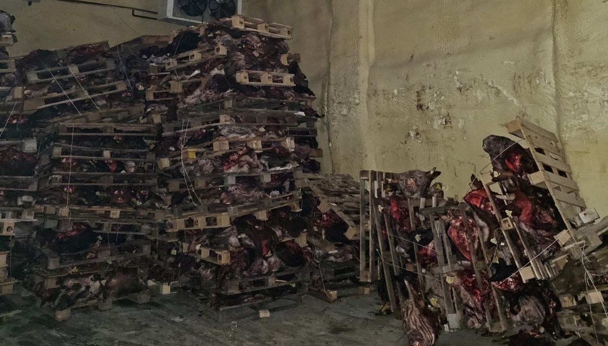 Bursa'da Şok Gelişme: Ruhsatsız Et Deposu Mühürlendi!