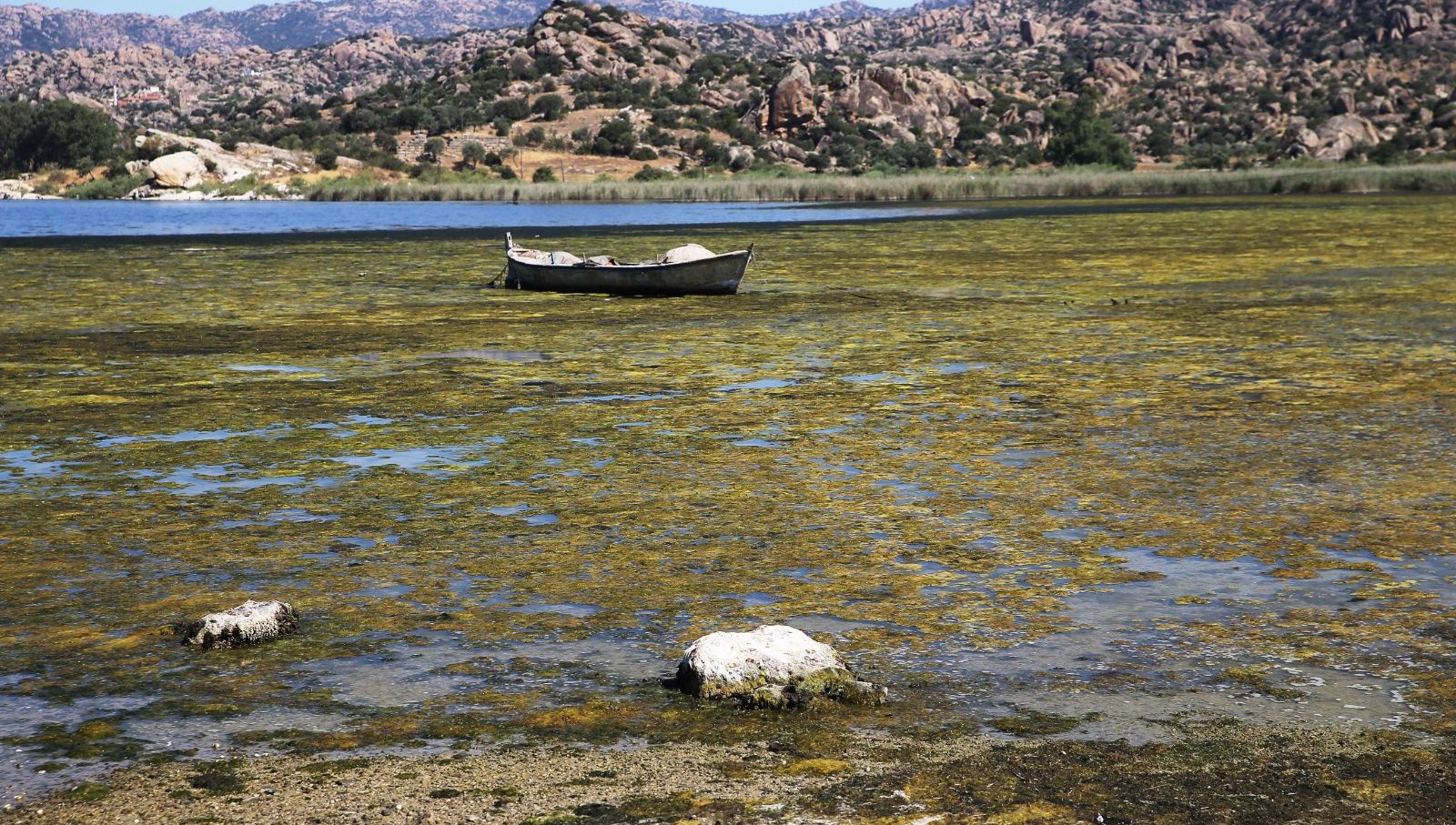 Bafa Gölü'nde Yaz Sıcaklığıyla Gelen Çöp Kirliliği!