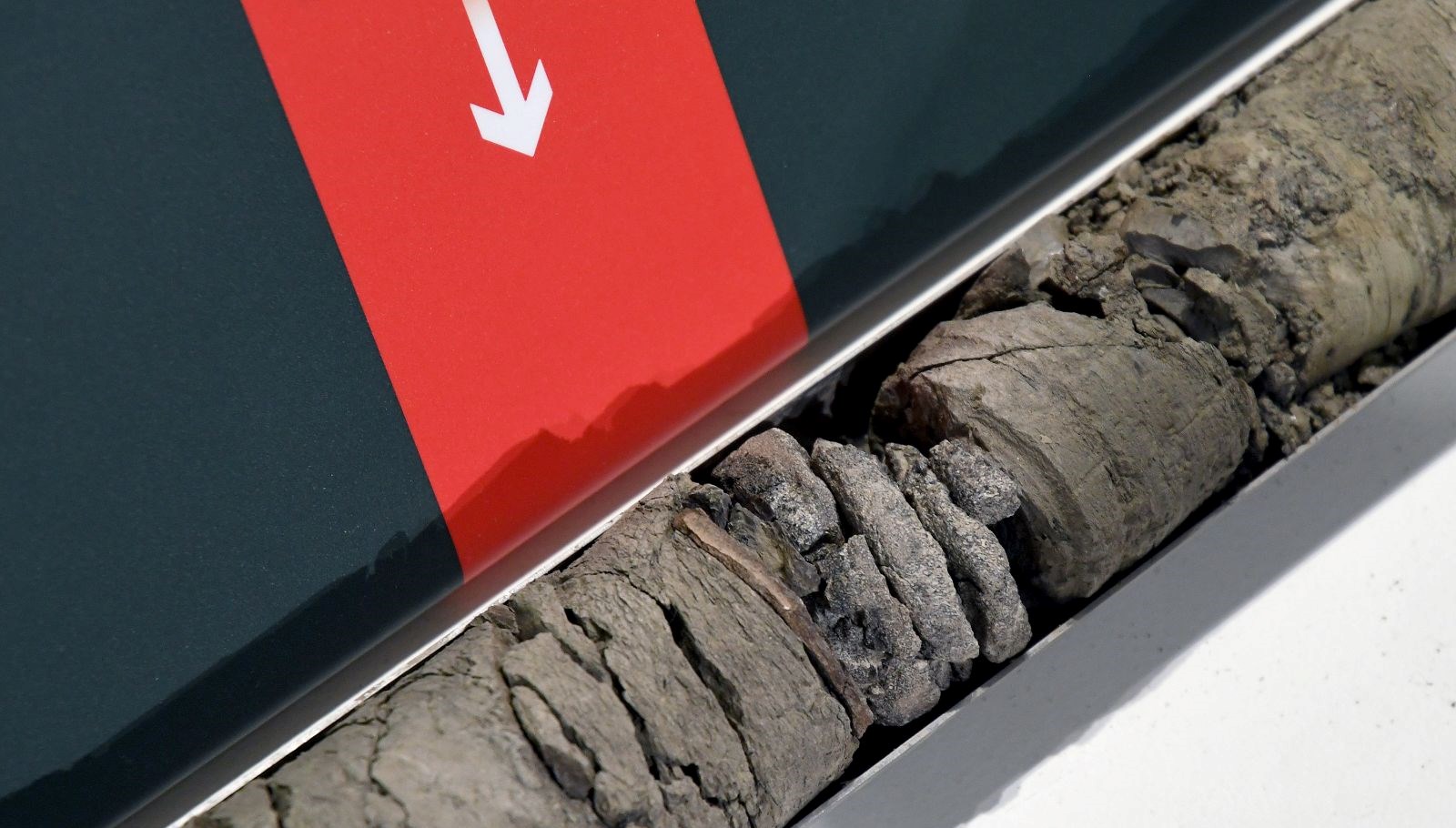 Müze Otoparkında Tarih Fısıldayan Dinozor Fosili Keşfedildi!