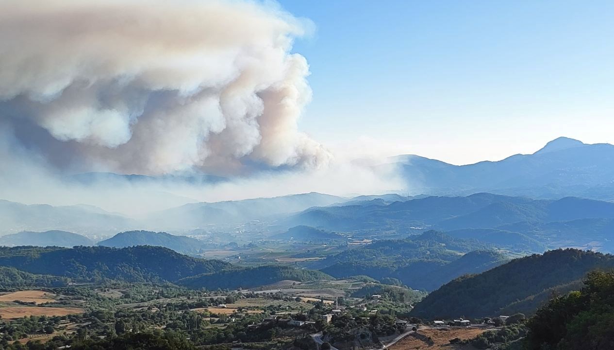 Hatay Valiliği'nden Son Dakika: Suriye Sınırında Orman Yangını Alarmı!