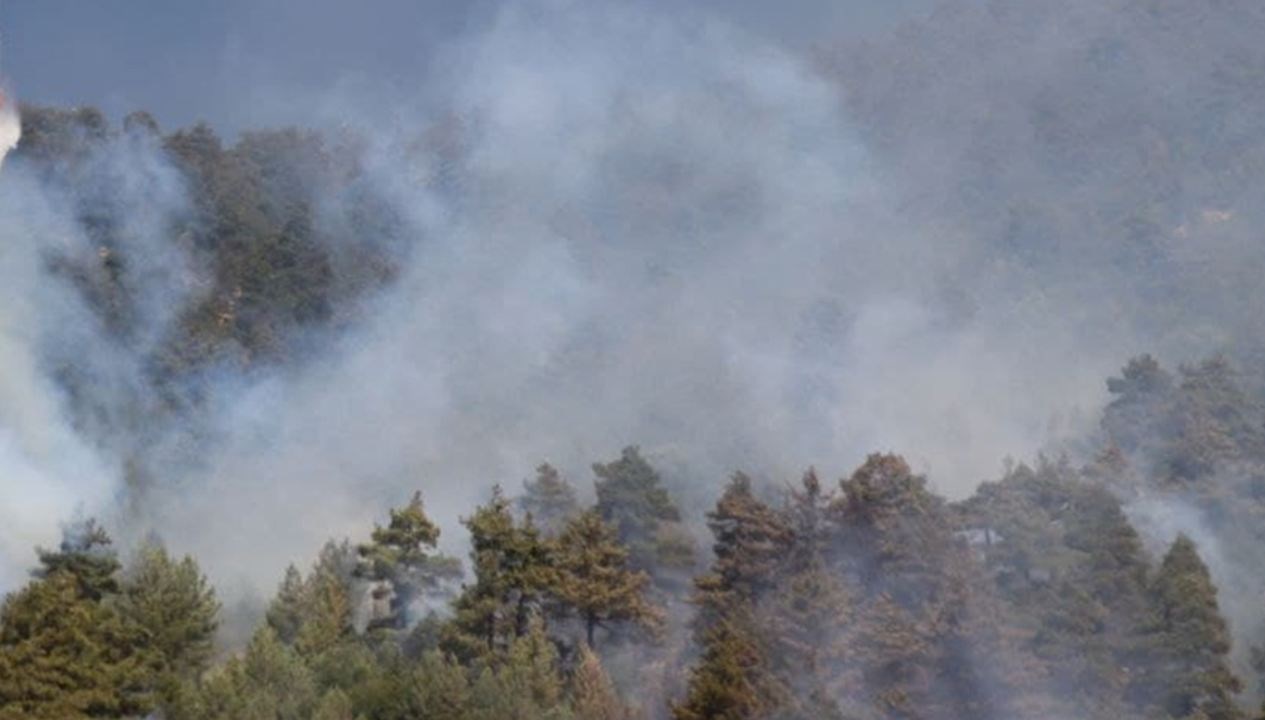 Sardinya Adası'nda Ateşle Mücadele: 20 Farklı Noktada Orman Yangınları Patlak Verdi!
