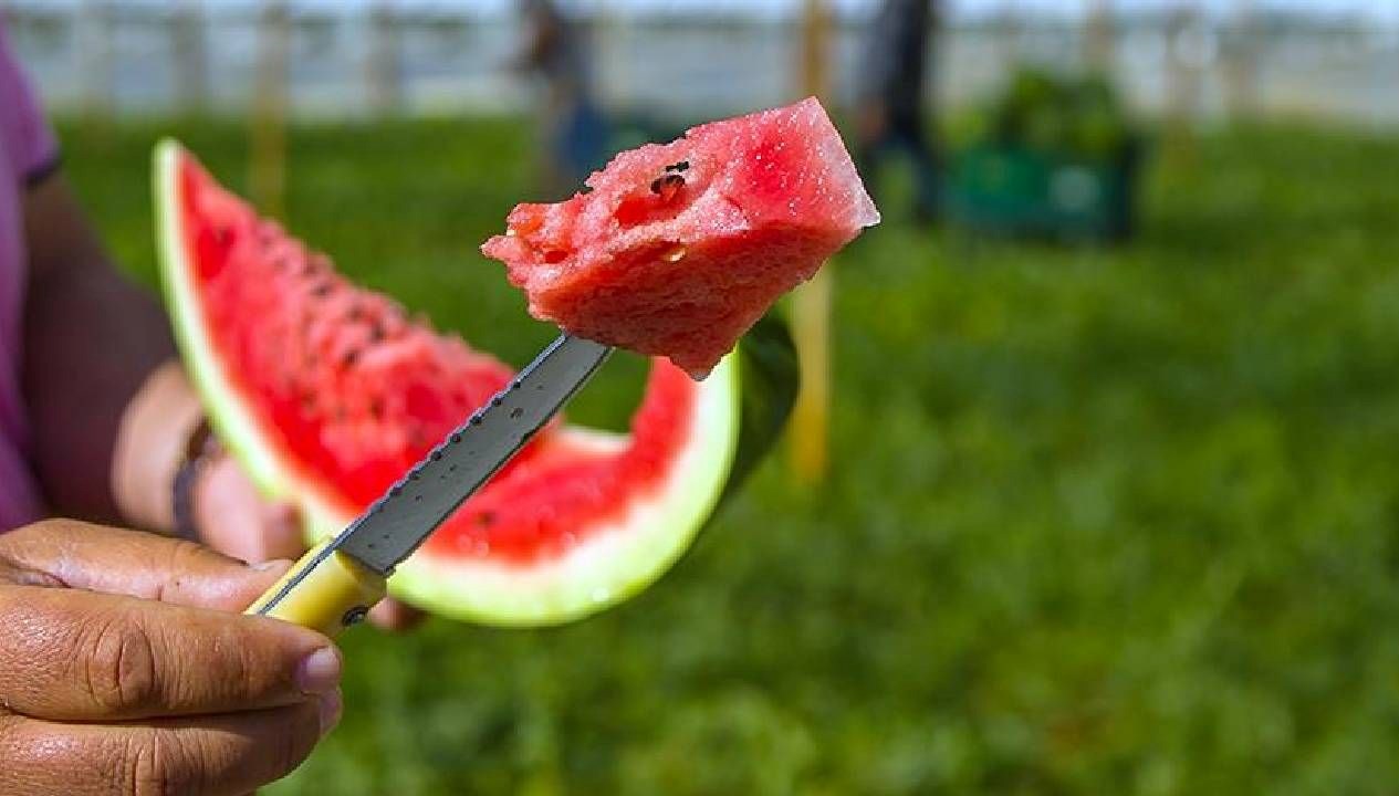 Karpuzlarda Gizli Bakteri Riskine Dikkat!