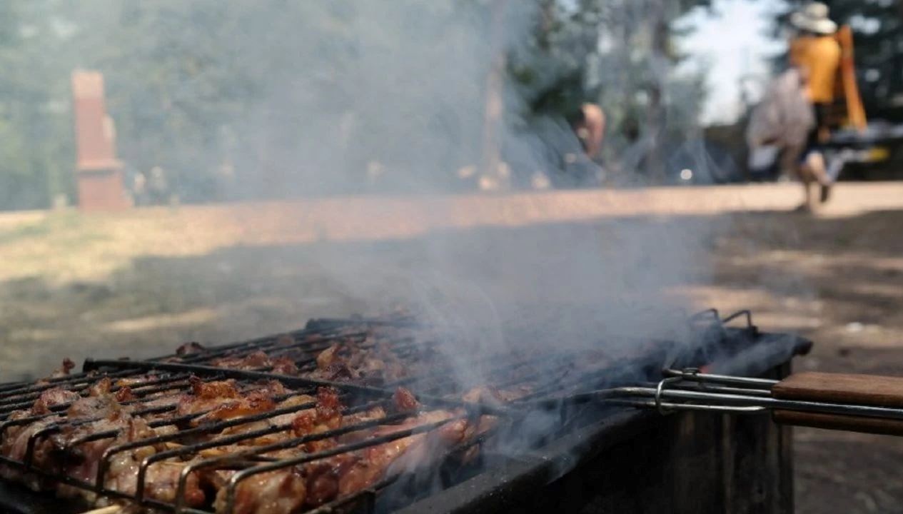 Ankara'da Mangal Keyfine Son: Piknik Ateşi Artık Yasak!