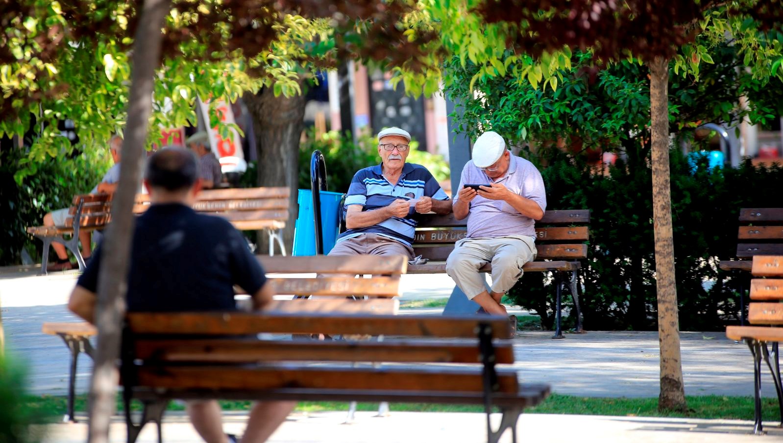 Kastamonu'da Sıcak Hava Alarmı: Valilik Orman Yangınları İçin Uyardı!