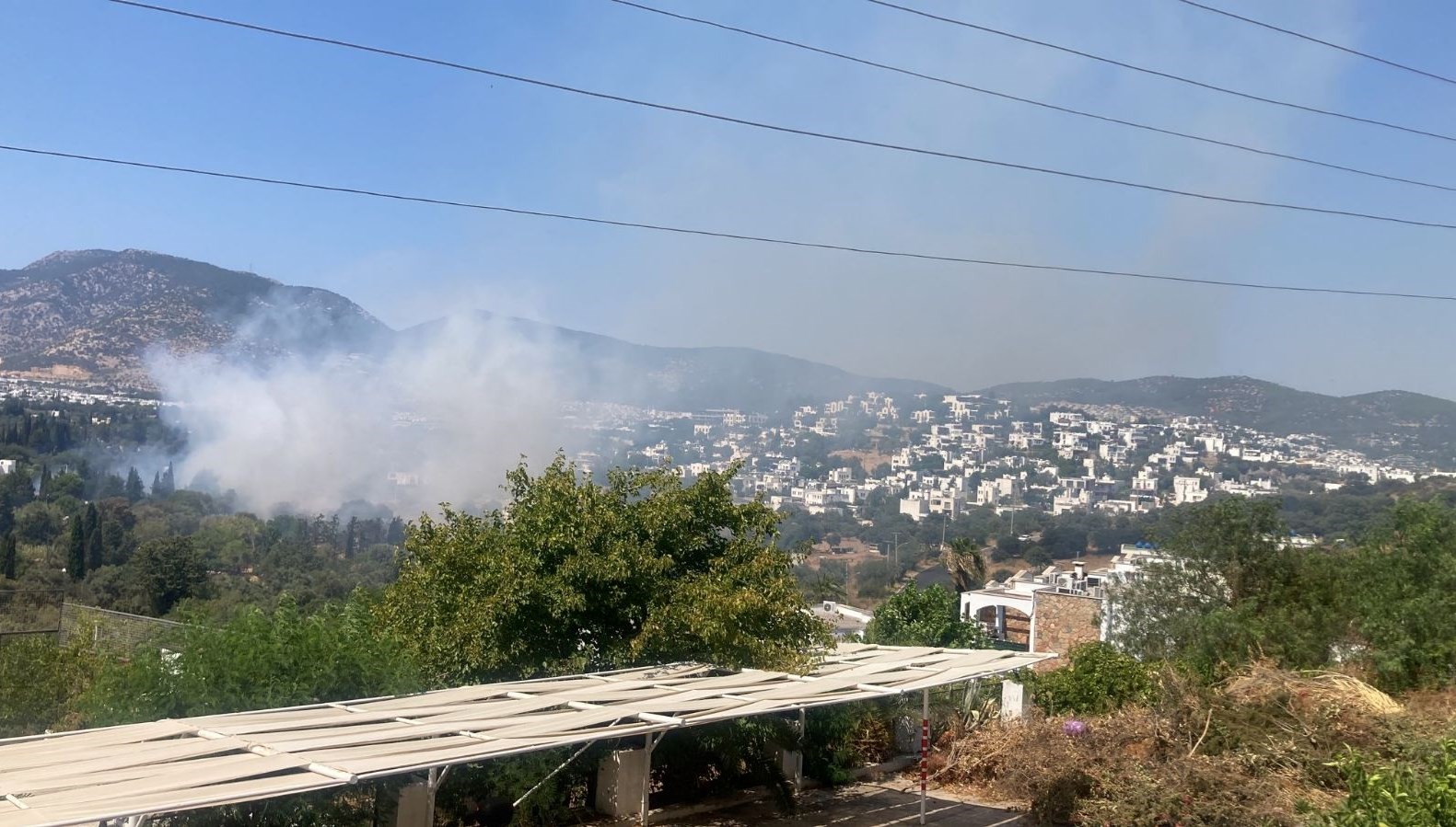 Muğla'daki Orman Yangınlarına Müdahale: Kontrol Altına Alındı!
