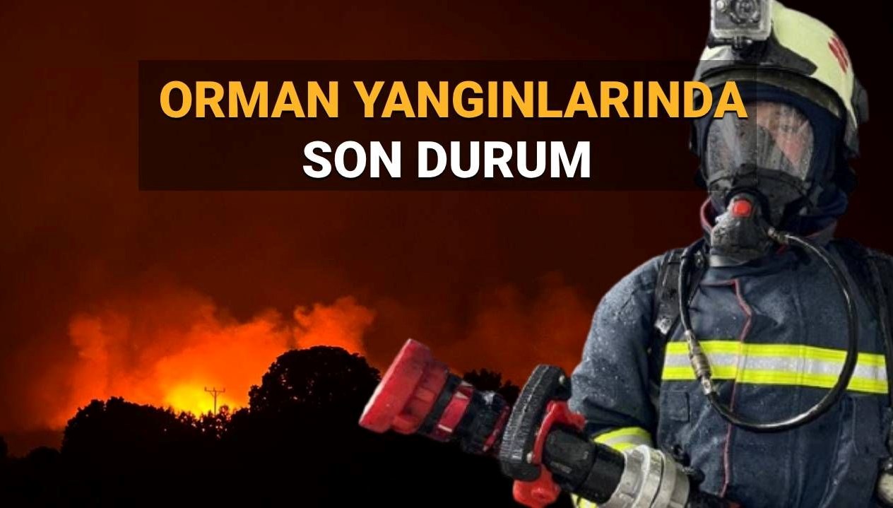 ORMAN YANGINLARINDA SON GELİŞMELER: Bursa, Uşak, Karabük, Antalya, Kahramanmaraş ve Bingöl'deki durum ne? Kontrol altına alınabildi mi?