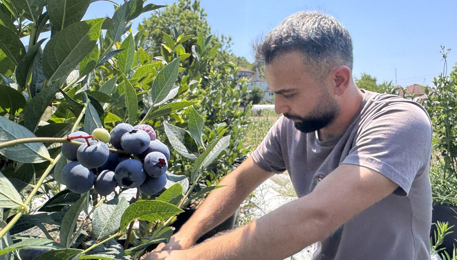 Beğendiği Tatla Üreticiliğe Adım Attı!