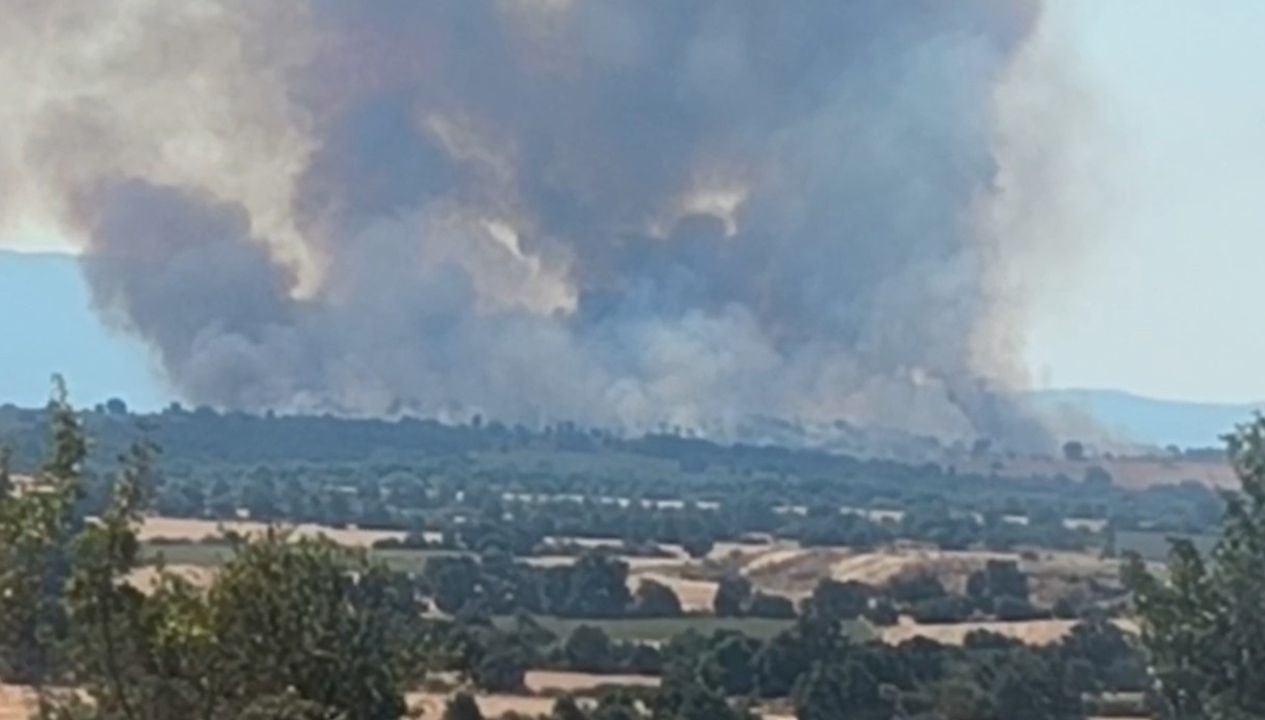 Komşu Ormandaki Yangın, Edirne'yi Sarmaladı!