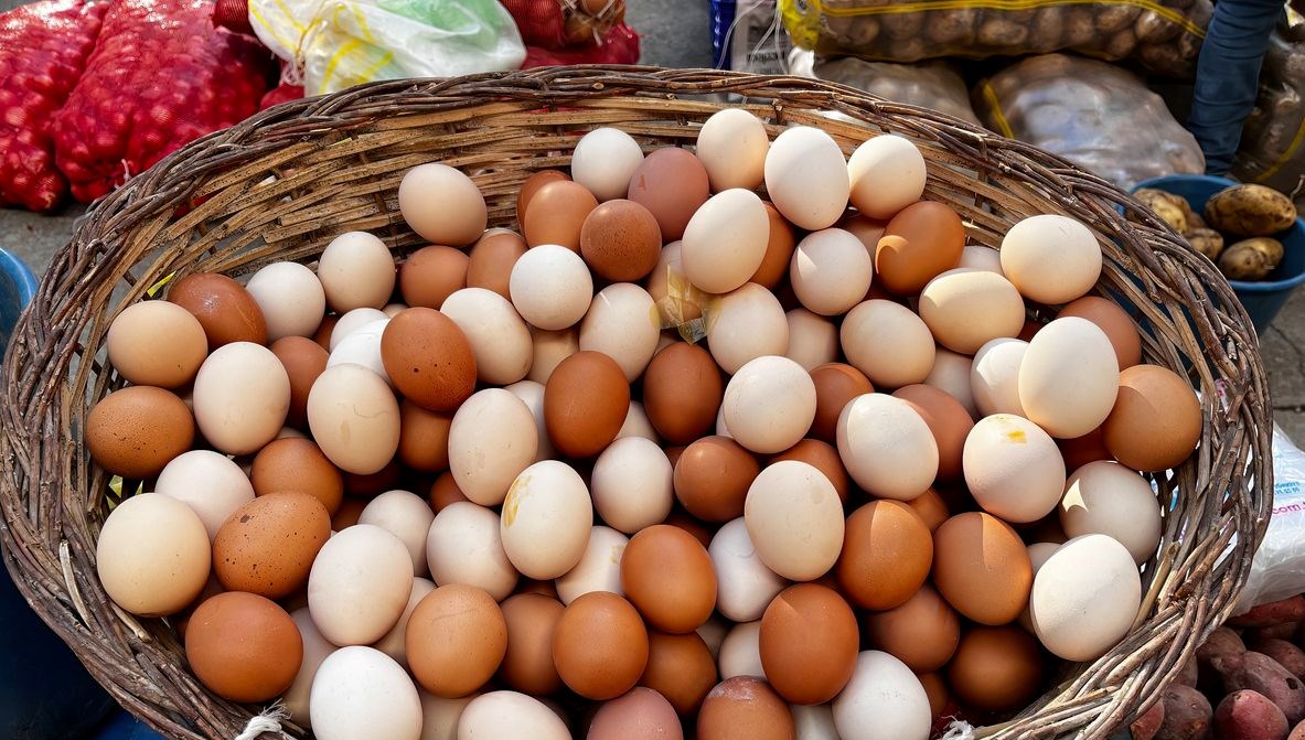 Beyaz ve Kahverengi Yumurtaların Sağlık Karşılaştırması: Hangisini Tercih Etmelisiniz?