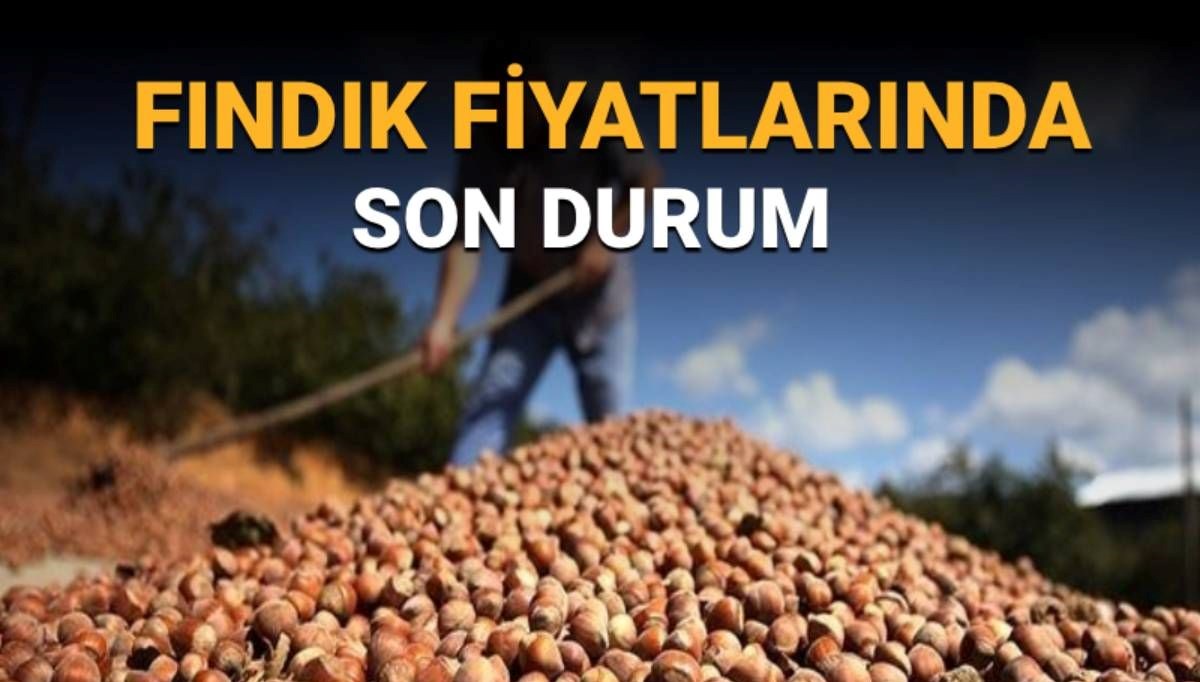 Fındıkta Son Gelişmeler: TMO'nun Yeni Fiyatları Belirlendi mi?