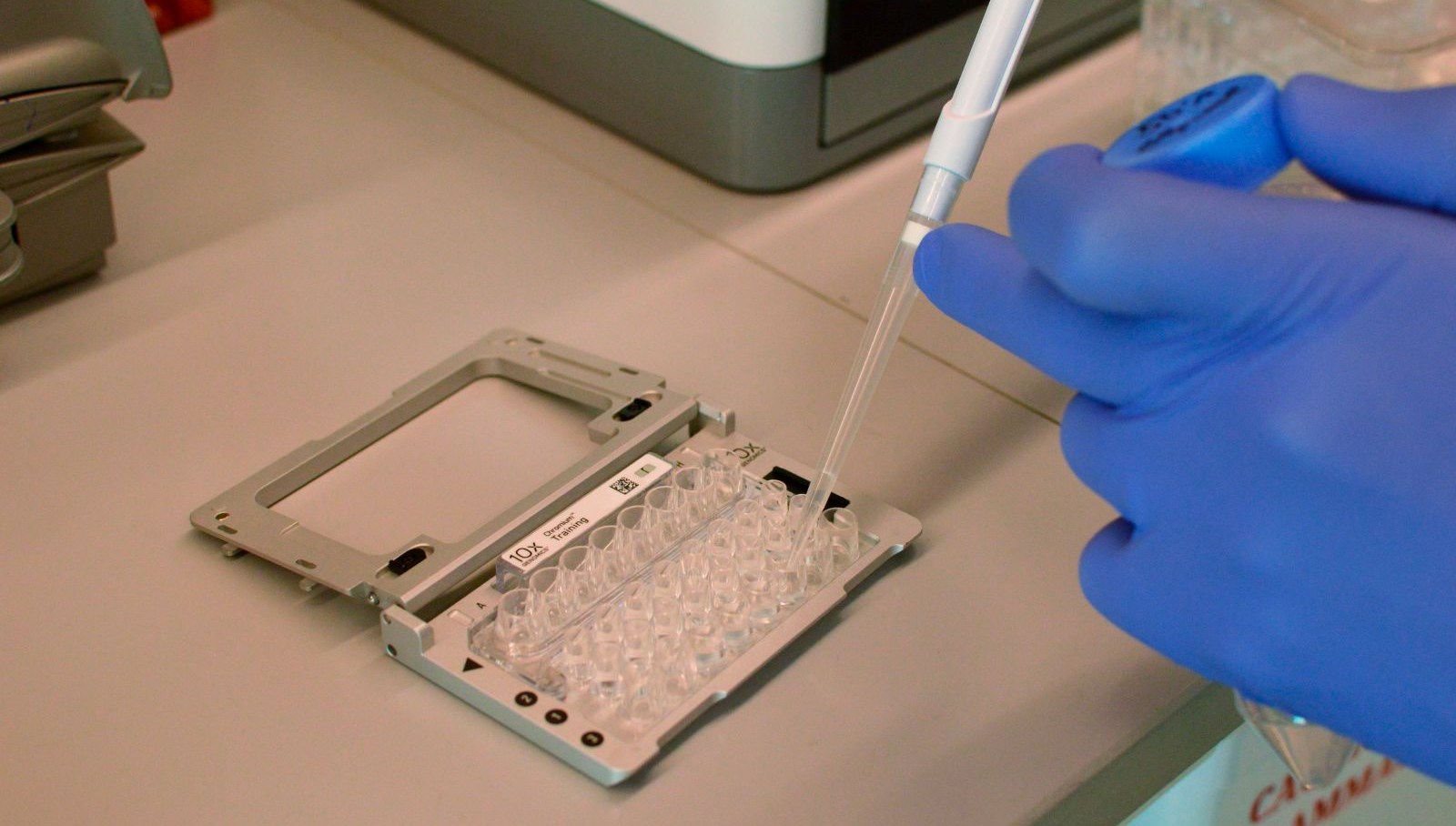 DNA'nın Sıfırlanması: Genetikte Çığır Açan Yeni Teknoloji Keşfedildi!