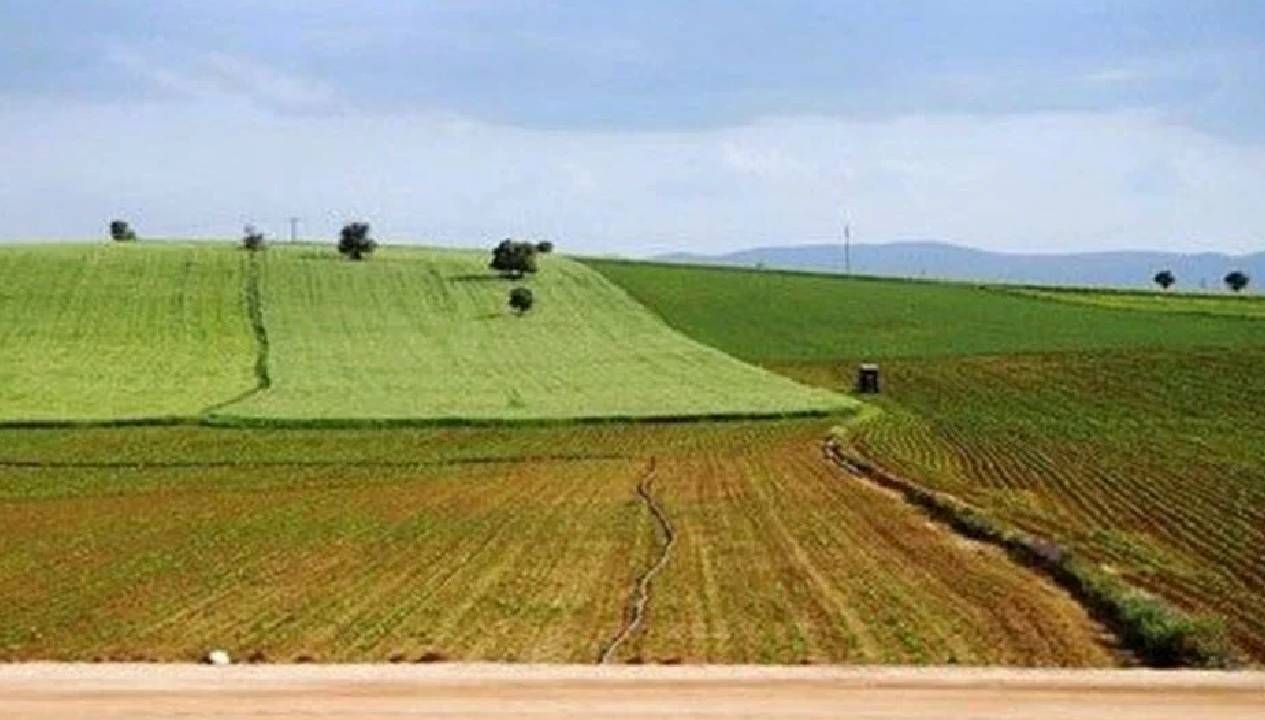 Eylül'le Birlikte: Ekilmeyen Tarlalar Yeni Sahiplerini Bekliyor!
