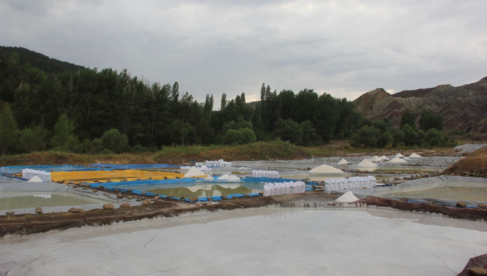 Sivas’ın Esmer Tuzu: Japonya'nın Tercihi, Yılda 50 Ton İhraç Ediliyor!