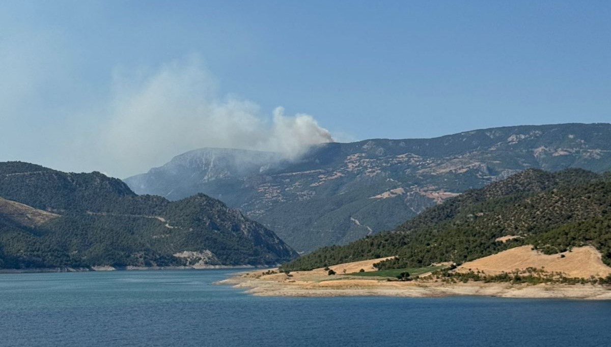 Sinop'ta Korkutan Orman Yangını: Bir Köy Acil Olarak Boşaltıldı