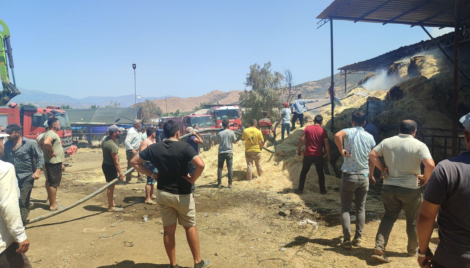 İzmir'deki Çiftlikte Korkunç Yangın: 16 Büyükbaş Hayvan Hayatını Kaybetti