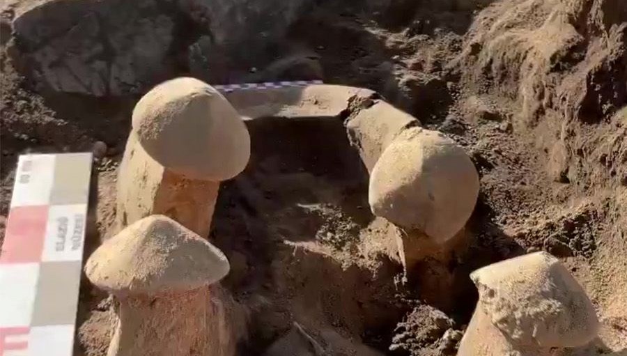 Elazığ'da Tarihe Işık Tutan 6 Bin Yıllık Eserler Ortaya Çıktı!