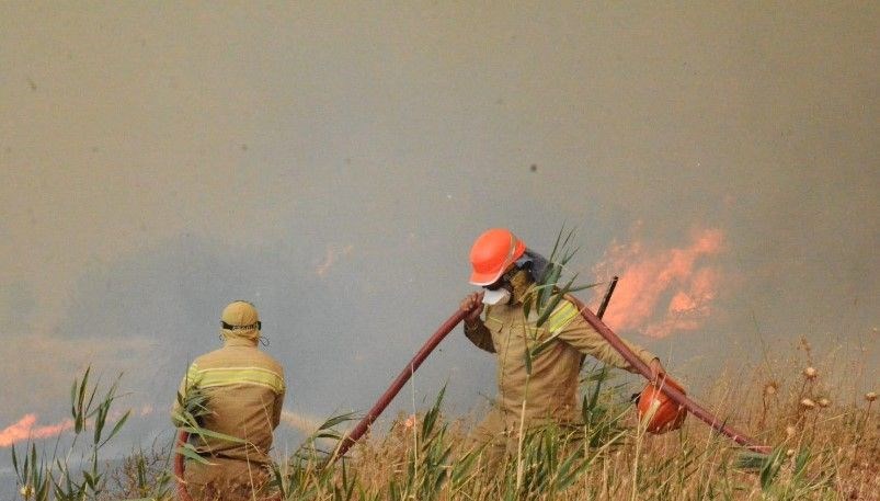 Orman Yangınları: Yüzde 57’si Kent Dışı Alanlarda Patlak Verdi!