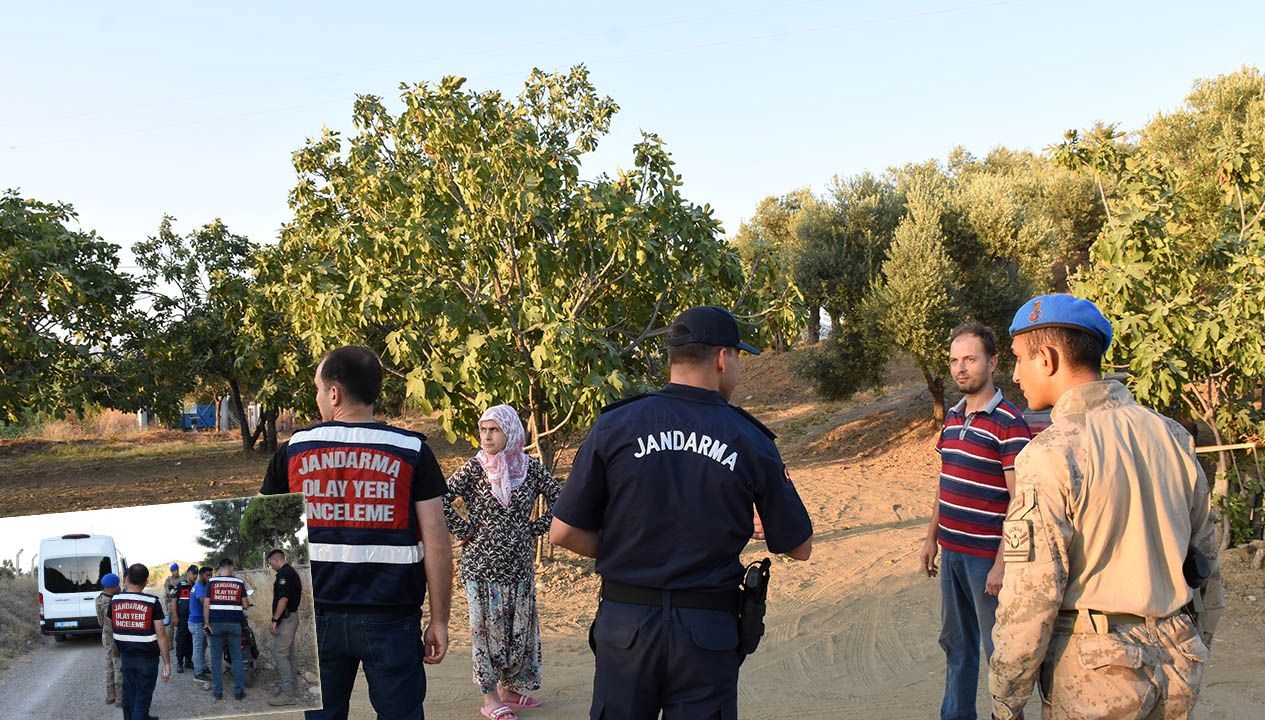 İncir ve Zeytin Bahçelerinde Hırsızlık Alarmı!