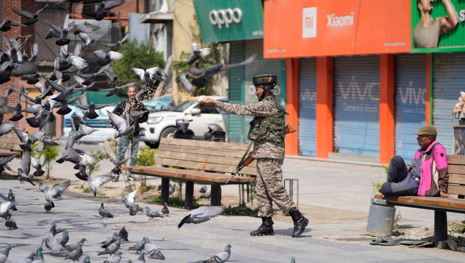 Hindistan'da Güvercin Tutmanın Yasağı: Sağlık Alarmı Çanları Çalıyor!