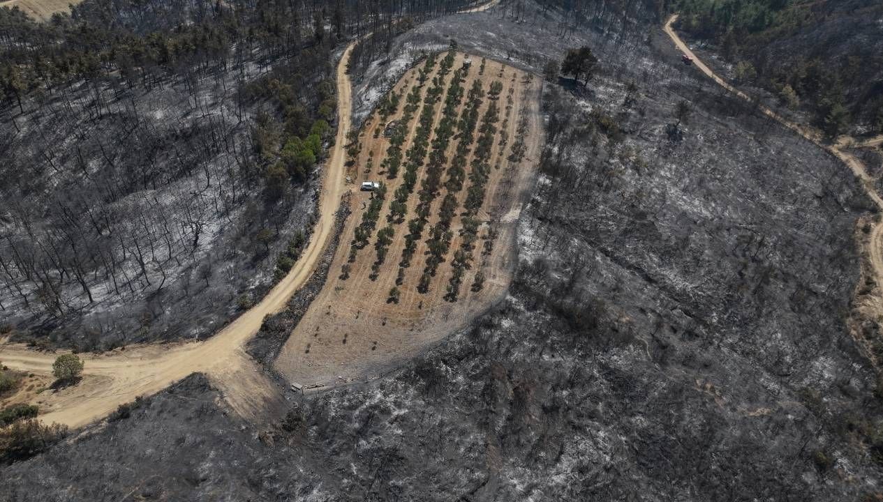 Çanakkale'de Sıradışı Bir Manzara: Tek Yanan Bölge Belli!