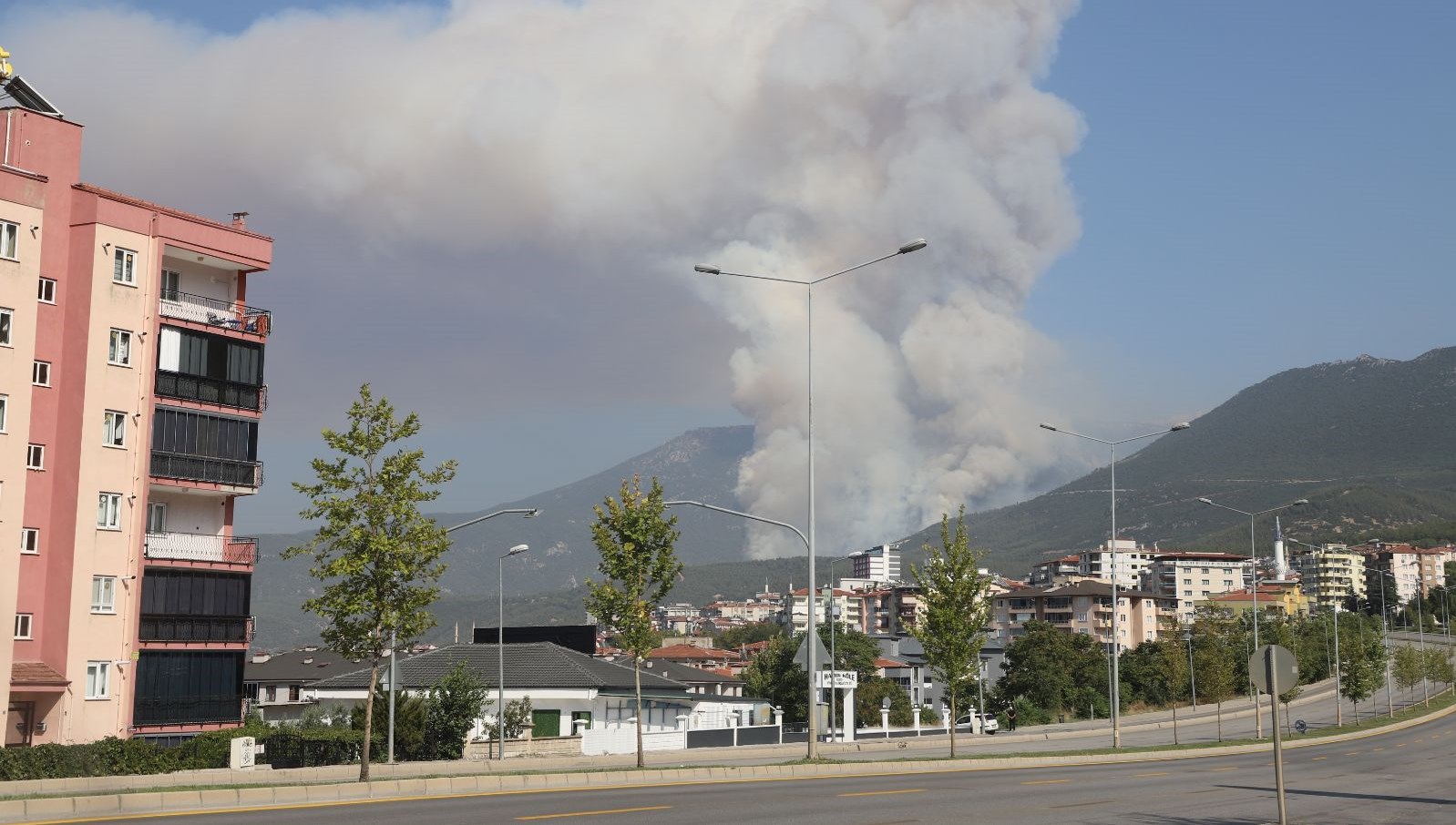 Denizli'de Orman Yangını Patlak Verdi: Bir Kişi Gözaltına Alındı