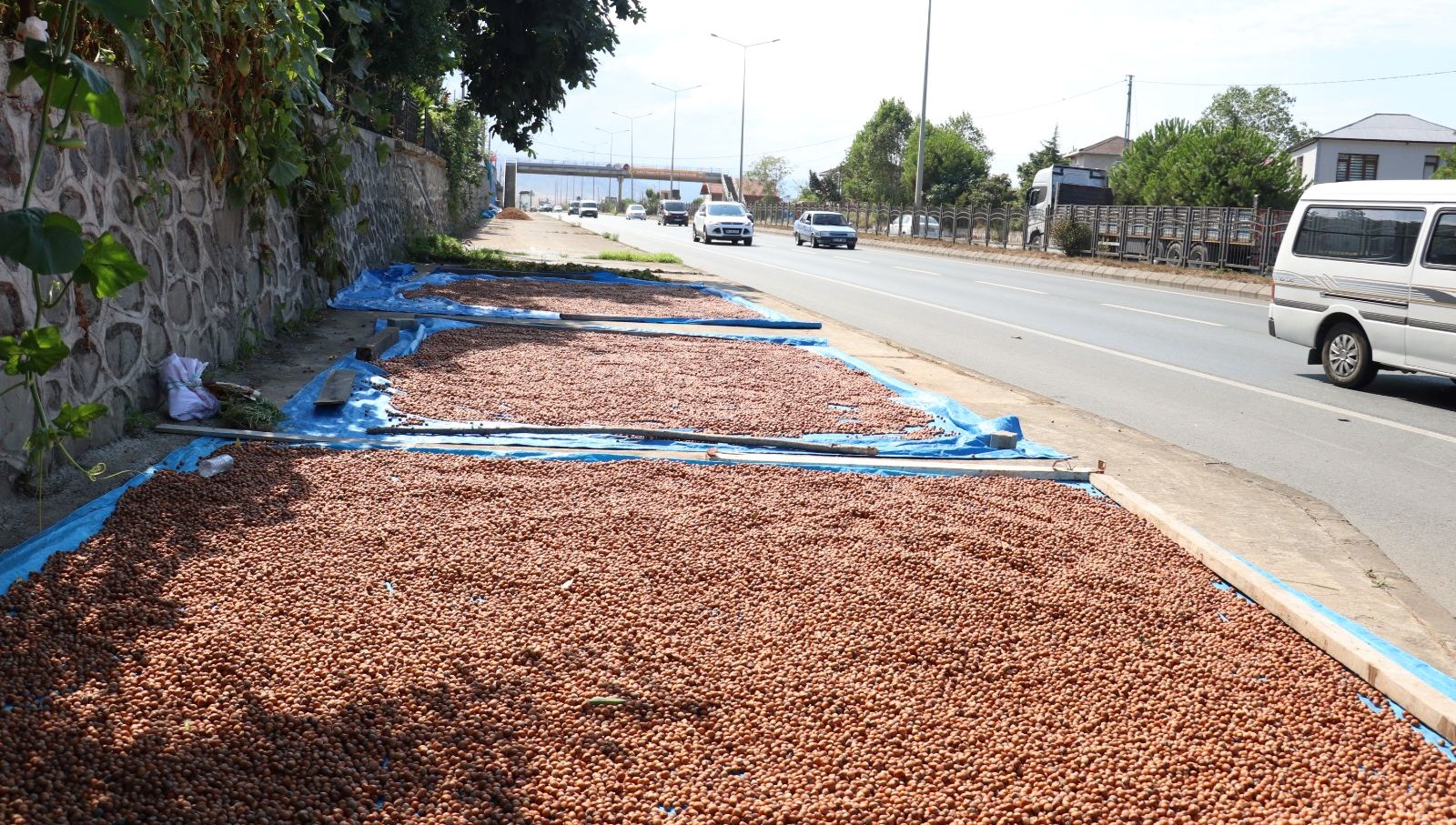 Kaldırımlarda Fındık Kurutmanın Getirdiği Yoğunluk