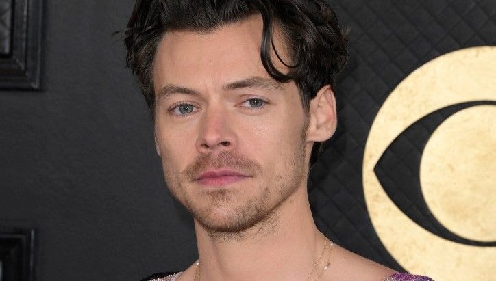 Harry Styles, Ünlü Oyuncuyla Aşk Yaşıyor!