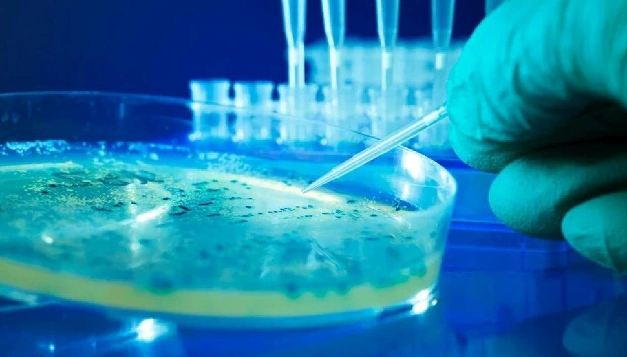 Amerika'da Salmonella Alarmı: Sağlık Tehlikesi Kapıda!