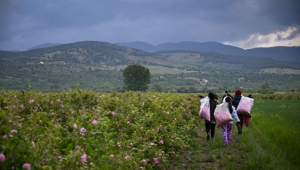 Avrupa'nın En Az Nüfusa Sahip Ülkesi: Bulgaristan